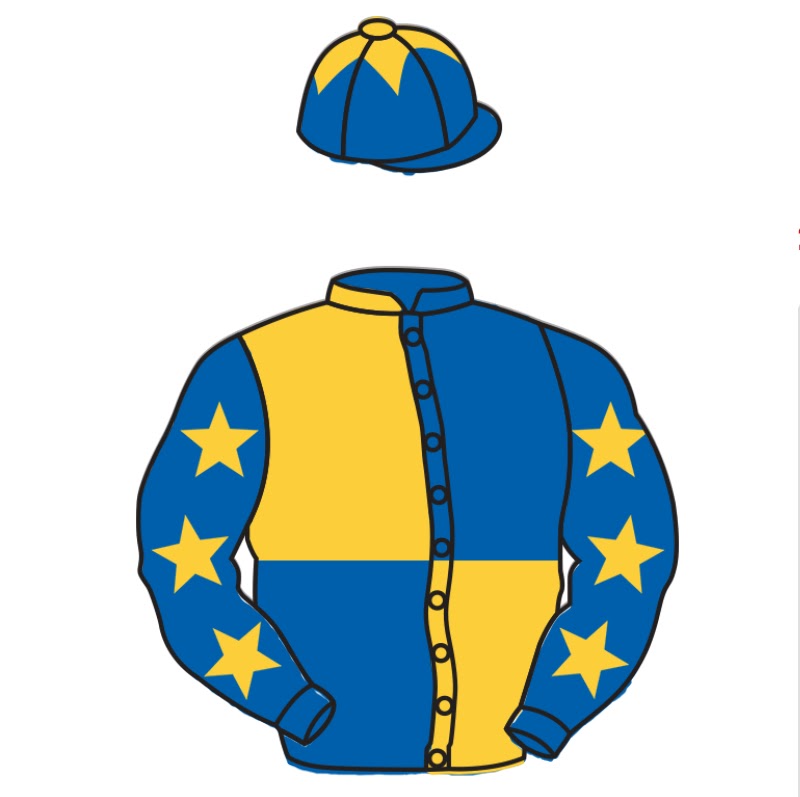 Tineggiori